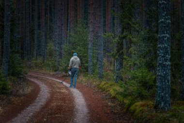Erkek yürüyüşçü, uzun ağaçlar ve canlı yeşilliklerle çevrili sakin bir ormanda, dolambaçlı toprak bir patikada yürüyor. Açık hava macerasının özünü yakalıyor.