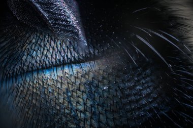 Canlı renkler ve karmaşık desenlerle, doğal elementlerin ve soyut sanatın güzelliğini vurgulayan dokulu bir yüzeyin detaylı yakın çekimi