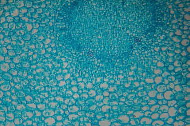 Renkli soyut çizimler mavi baloncuklar ve dokular sergiliyor, tasarım projelerinde yaratıcılığa ve sanatsal keşiflere ilham veren dinamik bir görsel şablon oluşturuyor.