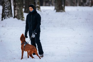 Valmiera, Letonya - 02 Ocak 2026: Kışlık giysiler içindeki kadın, serin atmosfer ve doğal güzelliğin tadını çıkararak, kahverengi köpeğini karla kaplı ormanda gezdirir.