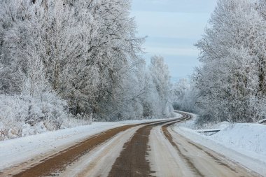 Karla kaplı, buzlu ağaçlarla kaplı bir yol, açık gökyüzü olan kırsal bir alanda huzurlu bir kış manzarası yaratıyor.