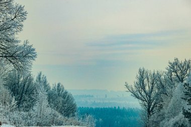 Karla kaplı ağaçlar, sisli bir ufuk ve uzak tepelerle kışı çevreleyerek doğal ortamda sakin bir atmosfer yaratırlar.