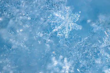 Kış havasında kristallerin eşsiz şekillerini ve dokularını vurgulayan mavi bir zemin üzerinde kar tanelerinin yakın plan görüntüsü.
