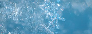 Close-up view of snowflakes with detailed crystalline patterns against a soft blue background, illustrating the beauty of winter and cold weather elements