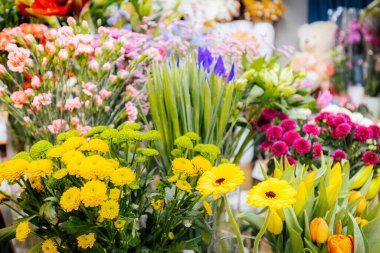 Çiçekçi dükkanında sarı papatyalar, pembe karanfiller ve mor irislerden oluşan canlı bir sergi.