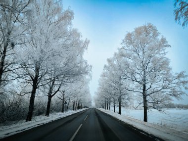 Parlak mavi bir gökyüzünün altında buzlu ağaçlarla çevrili karlı yol, kırsal bir bölgede sakin bir kış manzarasını resmediyor.