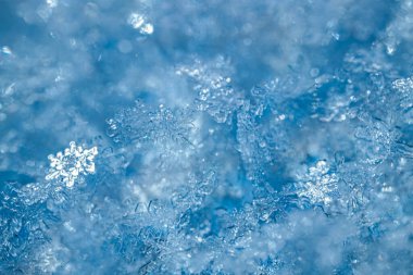Mavi bir yüzey üzerinde dinlenen kar tanelerinin detaylı görüntüleri, kış ortamında eşsiz şekillerini ve dokularını vurguluyor.