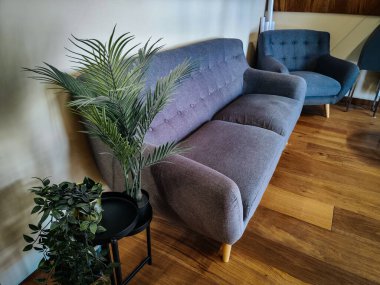 Dekoratif bitkilerin yanına yerleştirilmiş tahta bacaklı gri kumaş kanepe. Ahşap döşeme ve çağdaş bir koltuk olan modern bir oturma odasında.