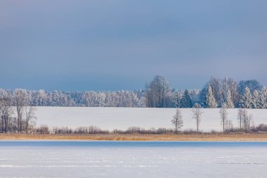 Donmuş bir göl, karla kaplı ağaçlar ve açık mavi bir gökyüzü olan kış manzarası soğuk bir çevrede huzurlu bir doğa manzarası sergiliyor.