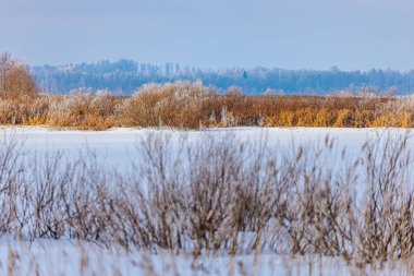 Uzakta donmuş su ve donmuş ağaçlarla karlı nehir kıyısı kırsal alanda sakin bir kış manzarası yaratıyor.