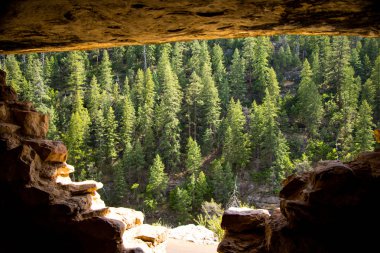 Bir uçurum konut ceviz kanyon içinde orman
