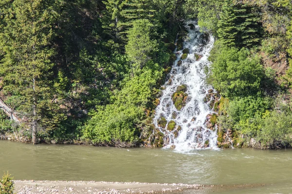 Pequena cachoeira de água branca em Grand Tetons Wyoming — Fotografia de Stock