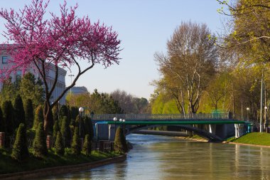 Taşkent, Özbekistan'a çapa quay köprüden