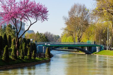 Taşkent, Özbekistan'a çapa quay köprüden