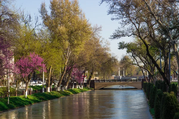 Rivier in het centrum van de Tashkent, Oezbekistan — Stockfoto