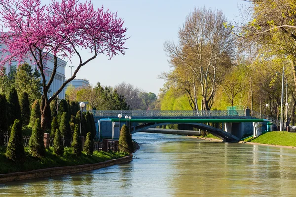 De brug over anker kade in Tasjkent, Oezbekistan — Stockfoto