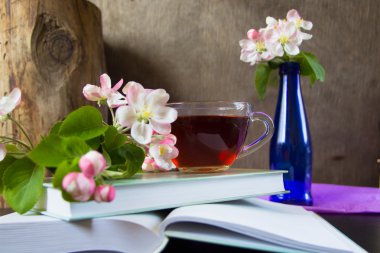 Kitap, elma ağacı çiçek çiçek dalları ve çay