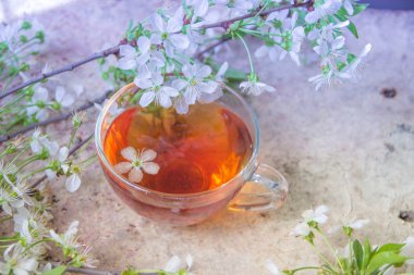 Siyah çay bahar çiçeği ile eski ahşap şubeleri 