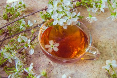 Siyah çay bahar çiçeği ile eski ahşap şubeleri 