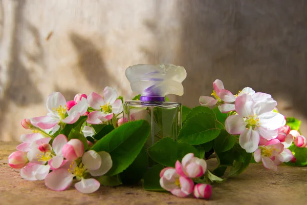 Parfém se jara květ větví — Stock fotografie