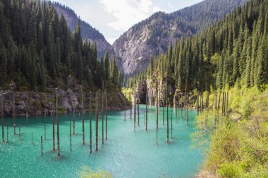 Kazakistan'ın Kaindy dağ gölü