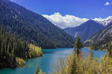 kolsay Gölü tien shan dağ sistemi, Kazakistan