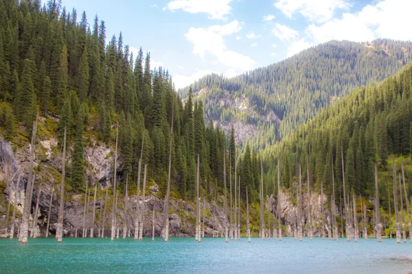 Kaindy bergmeer in Kazachstan — Stockfoto