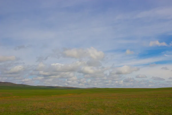 美しい草原春 landscap のイメージ — ストック写真
