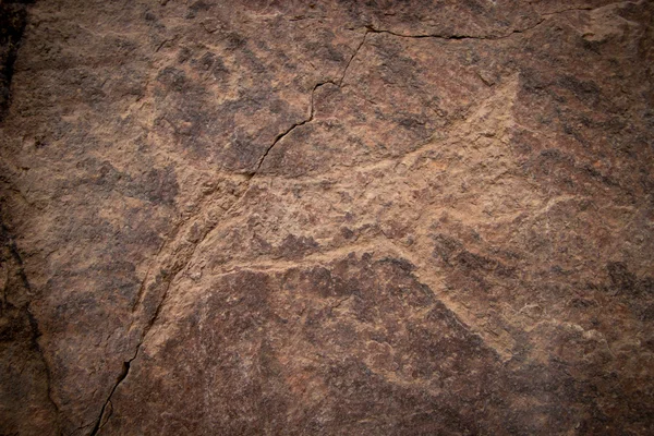 Le Petroglyphe sur Tamgaly-Tas, Kazakhstan — Photo