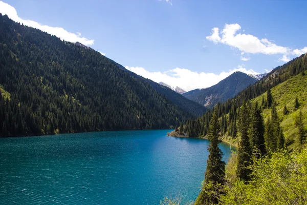 Kolsay Lake em Tien Shan sistema de montanha, Cazaquistão — Fotografia de Stock