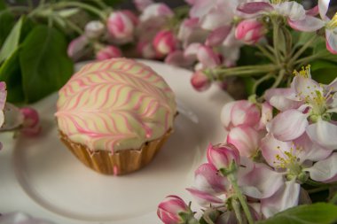 Cupcake veya muffin taze bahar çiçeği ile şubeleri