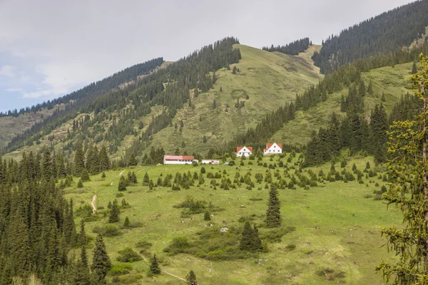 Houses in the mountains, Kolsay, Kazakhstan — Stock Photo, Image