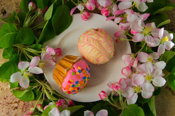 Cupcake or muffin with fresh spring blossom branches — Stock Photo, Image