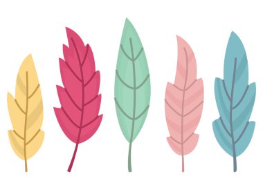 Farklı canlı tonlarda beş tüy seti. Karnaval, boho veya dekoratif öğeler