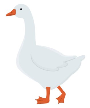 Evcil sevimli kaz çizimi. Şeffaf arka planda izole edilmiş çiftlik hayvanı.