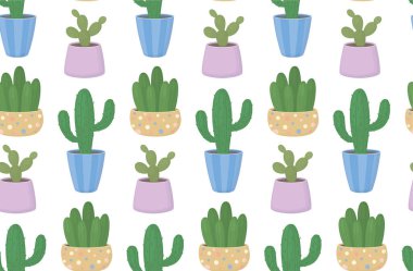 Renkli tencerelerde çeşitli kaktüslerle kusursuz desen. Dekoratif bitkilerle süslü çiçek arkaplanı