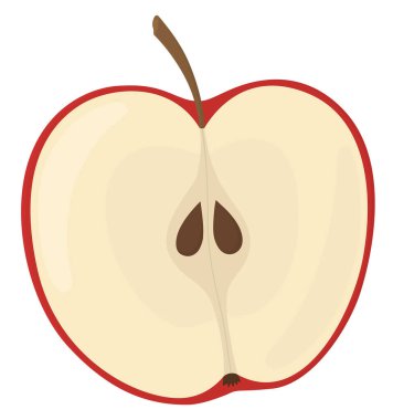 Sapı ve tohumları olan yarım kesilmiş kırmızı elma. Beyaz arkaplanda izole edilmiş sağlıklı meyve