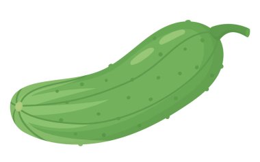 Saplı taze yeşil salatalık kornişonu tasviri. Beyaz arkaplanda yalıtılmış organik sebze