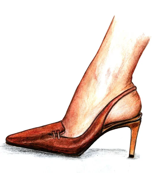 Раскрашенные Коричневые Женщины Высоком Каблуке Обувь Белом Фоне — стоковое фото