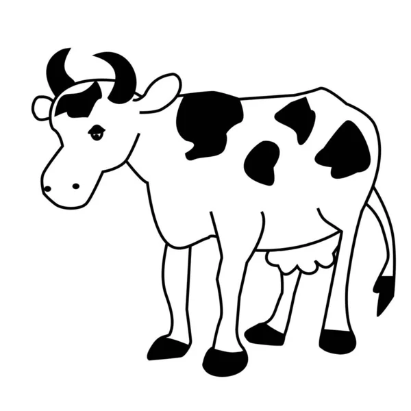 Корова Белом — стоковое фото
