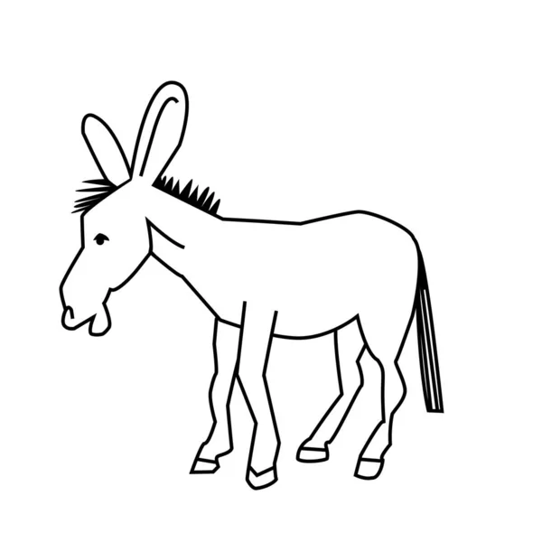 Graphic Image Donkey White Background — Stock Photo, Image