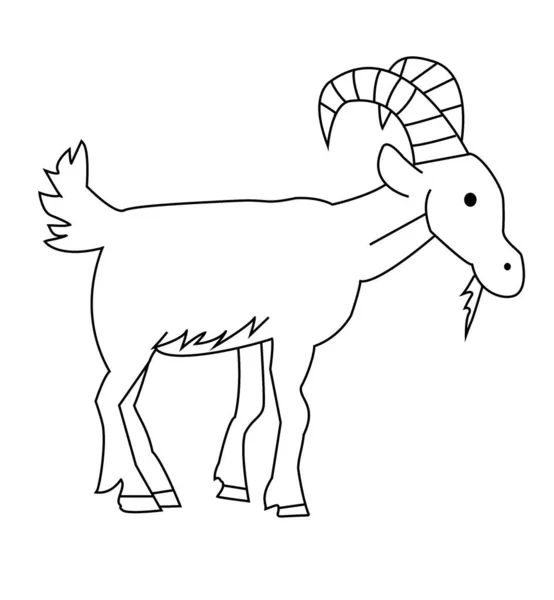 一种山羊 有胡子 被描绘成白色背景上的黑色轮廓 — 图库照片