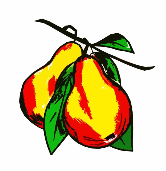 白い背景に小枝で葉を持つ2つの黄色の赤梨 — ストック写真