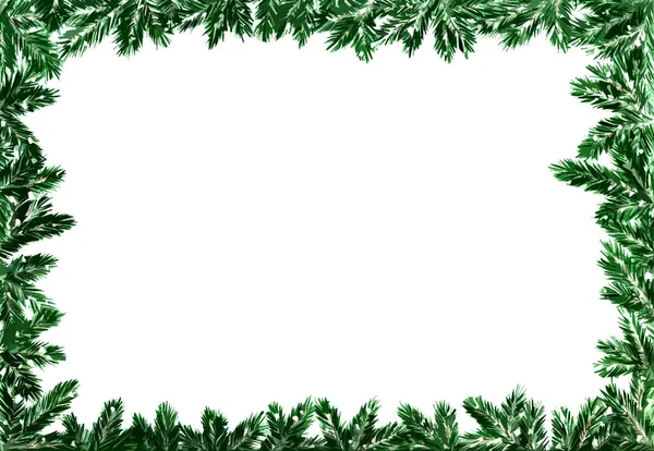 Beyaz arka planda Noel ağacı dallarından yapılmış Noel çerçevesi