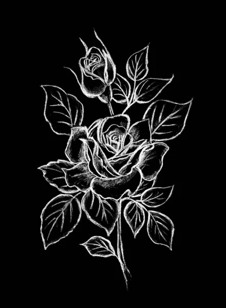 Flor Rosa Com Folhas Desenhadas Branco Sobre Fundo Preto — Fotografia de Stock