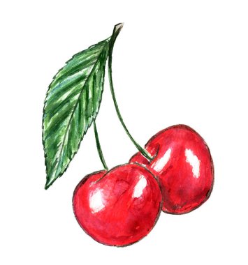 Dal üzerinde iki kiraz çileği ve beyaz bir arka planda yaprak.