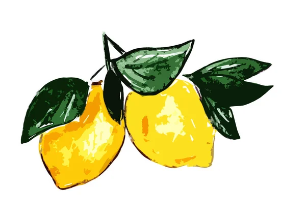 白い背景の葉を持つ枝に2つのレモン — ストック写真