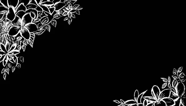 Рамка Квітів Намальована Білим Кольором Чорному Тлі — стокове фото