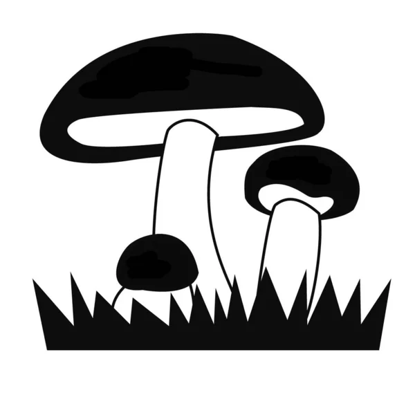 Grafikus Fekete Fehér Kép Gombákról Fűben — Stock Fotó