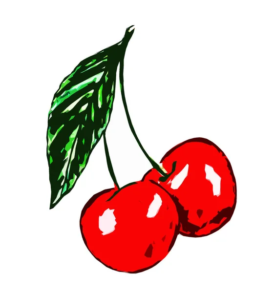 Two Cherries Twig Leaves White Background — 스톡 사진